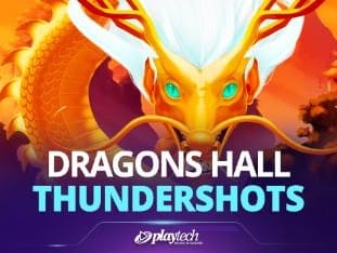 Dragons Hall™ icon